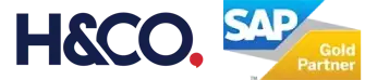 SAP Business One – H&CO Brasil